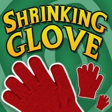 Shrinking Glove Illusion